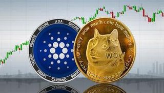 تراجع دوجكوين وكاردانو اليوم
