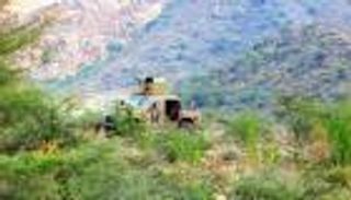 مقتل 3 جنود من القوات الجنوبية في تفجير إرهابي بأبين