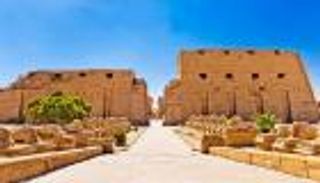 باحث مصري يكشف سر خلو معابد الفراعنة من الحشرات