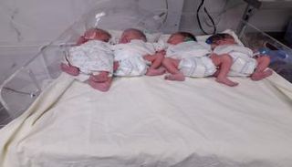 مصرية تضع 4 توائم