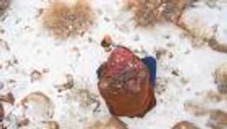 الثلوج ترسم لوحة بيضاء بديعة على جبال اللوز في السعودية (صور وفيديو)