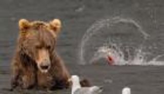 نشاطات سياحية رائعة لزوار "ألاسكا" الأمريكية في الشتاء.. تعرف عليها