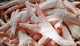 رحلة أرجل الدجاج من "علف حيواني" إلى موائد المصريين (حوار)