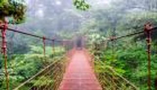 أماكن الغابات في العالم.. 5 غابات في أحضان الطبيعة