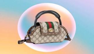 الحقيبة Ophidia AirPods Max Case الجديدة