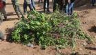 جثمان الطفل ريان يوارى الثرى