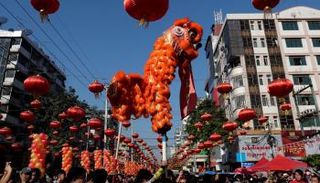 جانب من الاحتفالات بعام النمر