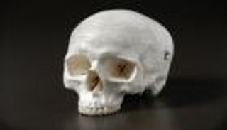 اكتشاف جديد يغيّر تاريخ الإنسان العاقل في أوروبا 