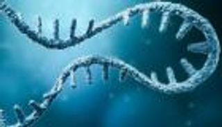 تكنولوجيا لقاحات كورونا تفتح بابا لعلاج مرضى أورام الكبد