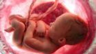 كورونا يطارد الحوامل بخطر جديد.. يدمر المشيمة ويقتل الأجنة