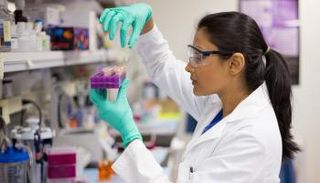 تحديات البشرية تستوجب إطلاق العنان لإبداع النساء