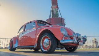 انطلاق معرض السيارات الكلاسيكية في مهرجان الشيخ زايد