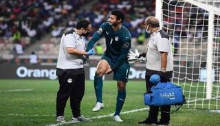 محمد الشناوي