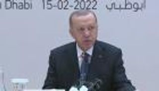 أردوغان لرجال الأعمال: هدفنا مع الإمارات الارتقاء إلى مستوى أعلى