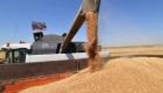 مسح لـ"العين الإخبارية" يحذر: حرب أوكرانيا تحرق 692 مليار رغيف من خبز العالم