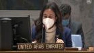 الإمارات: إيقاف سلوك الحوثي الإرهابي يتطلب موقفا دوليا حاسما