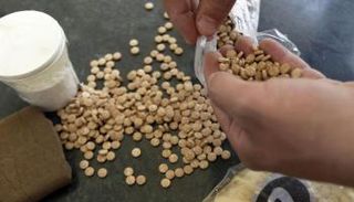 حبوب كبتاجون (أرشيفية)