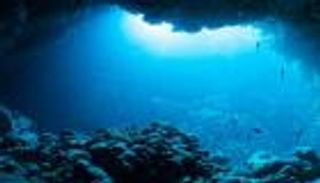 أصوات غامضة في أعماق البحار تحيّر العلماء.. ما القصة؟