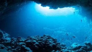 أصوات غامضة في أعماق البحار تثير حيرة العلماء- أرشيفية