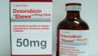 عالم مصري يروض "الشيطان الأحمر" لعلاج سرطان الكبد