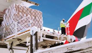 طائرة مساعدات إماراتية (أرشيفية)