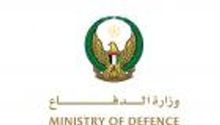 وزارة الدفاع الإماراتية تنوي شراء 12 طائرة صينية من طراز L15