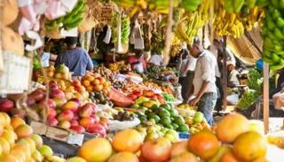 مسار جديد لأنظمة غذائية مستدامة ومرنة