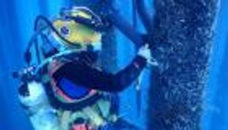 "موانئ أبوظبي" توسع خدماتها للقطاع البحري بصفقة ناجحة