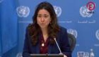 الإمارات بمجلس الأمن: نشجع الحوار بين روسيا وأوكرانيا لإنهاء الأزمة