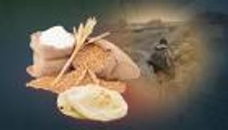 حرب أوكرانيا تحرق قمح العالم.. أسعار ملتهبة