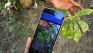 لتشخيص أمراض النبات.. مصريون يحولون الهاتف المحمول لعيادة زراعية