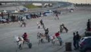 سباق للحمير في البحرين.. اهتمام واسع وحضور دولي (فيديو)