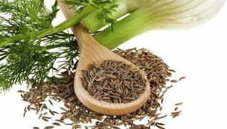 نبات وبذور الشمر