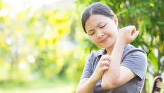 البعوض وفصل الصيف