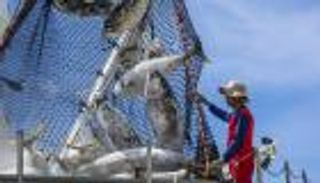 قفزة "قياسية" بصادرات المغرب الفلاحية والبحرية 