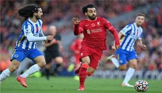 موعد مباراة ليفربول وبرايتون في الدوري الإنجليزي