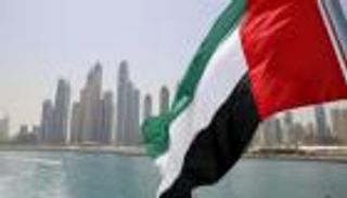 الإمارات: ملتزمون بدعم الأمن والاستقرار بالساحل الأفريقي