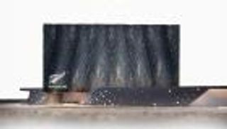 إكسبو 2020 دبي.. شراكة قوية بين الإمارات ونيوزيلندا في الأمن الغذائي