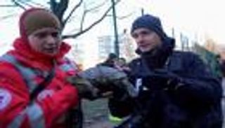 طوارئ في كييف لإنقاذ "سلحفاة".. مشهد مؤلم