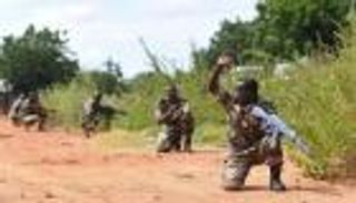 مقتل 21 شخصا في هجوم إرهابي بالنيجر