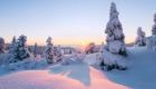 الشتاء الاستثنائي يلملم أوراقه.. ماذا تعرف عن الاعتدال الربيعي؟