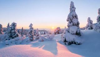 شتاء 2021 كان استثنائيا في المنطقة العربية والعالم