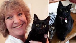 السيدة جيل كيلي وقطتها