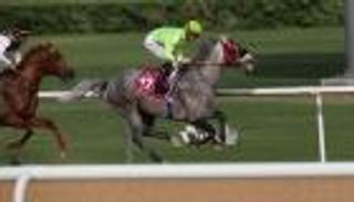 حضور إماراتي وحسم سعودي.. 10 أبطال على عرش كأس دبي العالمي للخيول