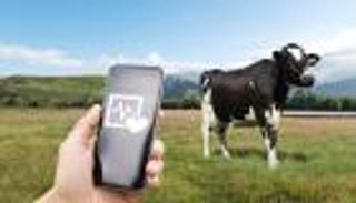 "إيكاروس".. كمبيوتر فضائي يرصد الحيوانات على الأرض