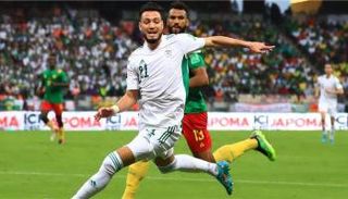 الجزائر ضد الكاميرون