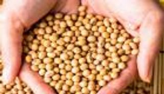 هذا الطعام يقلل خطر الإصابة بأمراض القلب.. احرص على تناوله