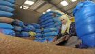 يغطي 5 أشهر.. مخزون وفير للقمح في المغرب