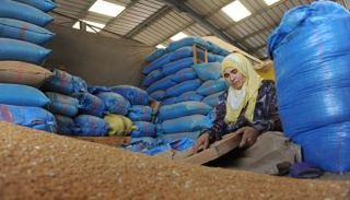 امرأة في مخزن للقمح - أرشيفية