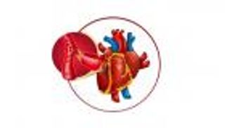 أسباب تراكم الدهون الثلاثية في الجسم (إنفوجراف)